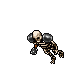 Skeleton Elite Warrior